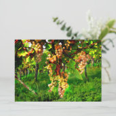 つる植物 招待状 (スタンド正面)