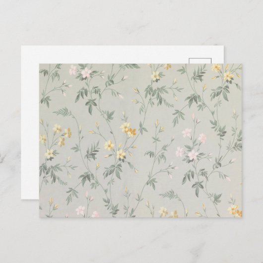 つる植物、黄色とピンクの花 ポストカード (正面/裏面)