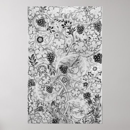 つる植物', 1878 ポスター (正面)