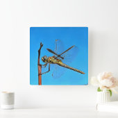 つる芸術的On Dragonfly Against Cerulean Blue スクエア壁時計 (ホーム)