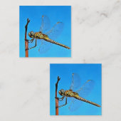 つる芸術的On Dragonfly Against Cerulean Blue ノートカード (正面/裏面)