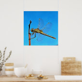 つる芸術的On Dragonfly Against Cerulean Blue ポスター (キッチン)