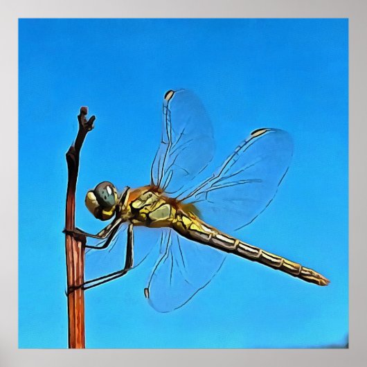 つる芸術的On Dragonfly Against Cerulean Blue ポスター (正面)