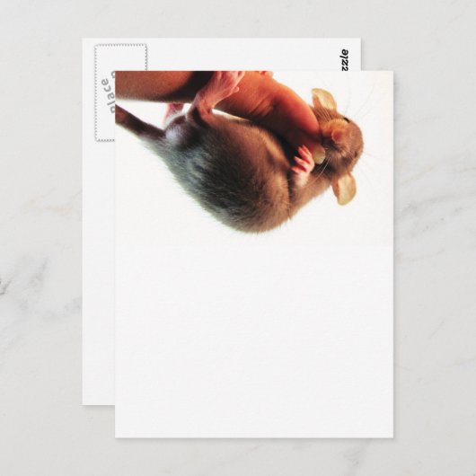 つるIn There Rat ポストカード (正面/裏面)