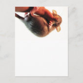 つるIn There Rat ポストカード (正面)