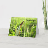 「つるOn Tight」ドラゴンフライおもしろい勇気付けられるカード カード (正面)