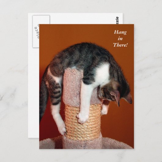 つるTabby Catユーモアのある Post Card ポストカード (正面/裏面)
