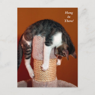 つるTabby Catユーモアのある Post Card ポストカード