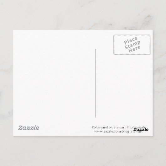 つれ合う冷たい枝 ポストカード (裏面)