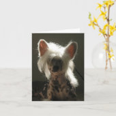 つ中国のる犬 カード (黄色い花)