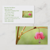 てんとう虫および大げさに同情する人の花 名刺 (正面/裏面)