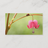 てんとう虫および大げさに同情する人の花 名刺 (裏面)