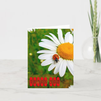 てんとう虫とデイジー サンキューカード