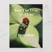 てんとう虫と花のSave The Date 案内ポストカード (正面)