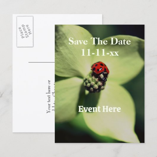 てんとう虫と花のSave The Date 案内ポストカード (正面/裏面)