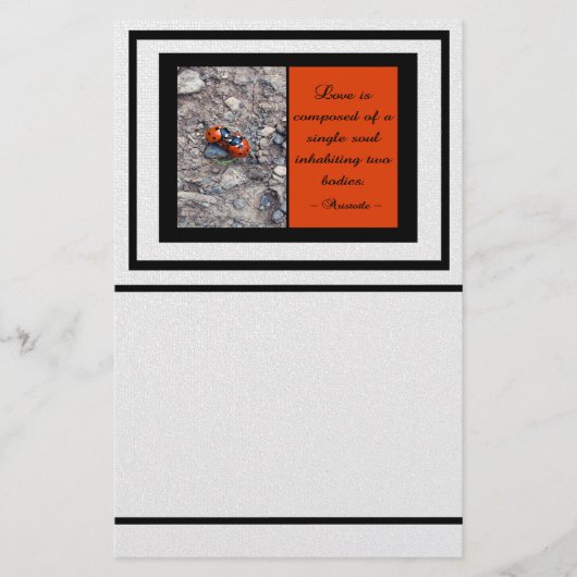 てんとう虫のキス 便箋 (正面)