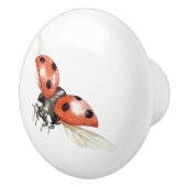 てんとう虫のノブ セラミックノブ (右)