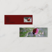 てんとう虫のプロフィールカード スキニー名刺 (正面/裏面)