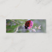 てんとう虫のプロフィールカード スキニー名刺 (裏面)