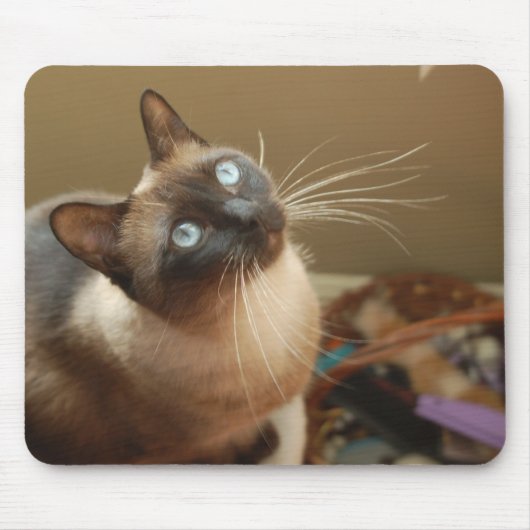 てんとう虫のマウスパッド マウスパッド (正面)