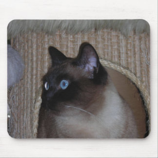 てんとう虫のマウスパッド マウスパッド