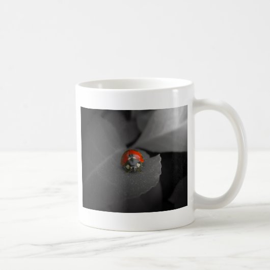 てんとう虫のマグ コーヒーマグカップ (右)