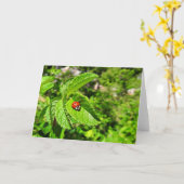 てんとう虫の挨拶状、中ブランク カード (黄色い花)