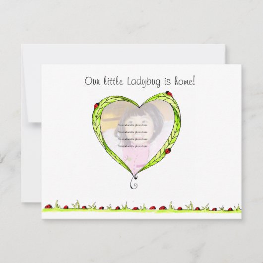 てんとう虫の採用の発表 案内状 (正面)