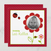 てんとう虫の誕生の発表カード 案内状 (正面/裏面)