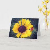 てんとう虫の誕生日 カード (黄色い花)