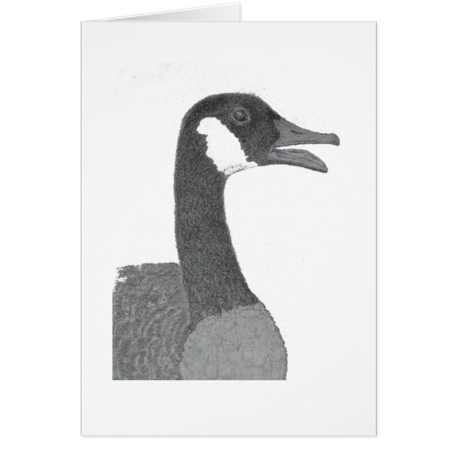 てんとう虫 (正面)