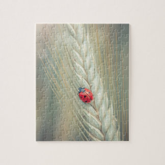 てんとう虫 ジグソーパズル