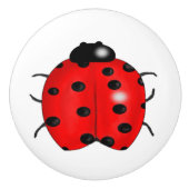 てんとう虫 セラミックノブ (正面)