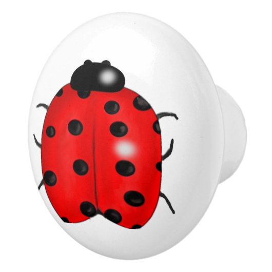 てんとう虫 セラミックノブ (右)