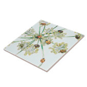 てんとう虫 タイル (側面)