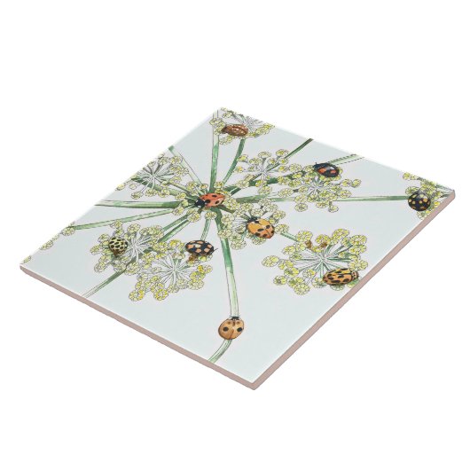 てんとう虫 タイル (側面)