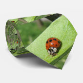 てんとう虫 ネクタイ (ロール)