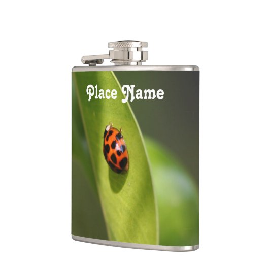 てんとう虫 フラスク (左)