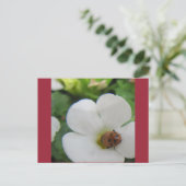 てんとう虫 ポストカード (スタンド正面)