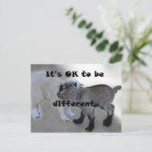 ~でいい違う ポストカード (スタンド正面)