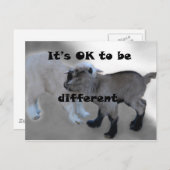 ~でいい違う ポストカード (正面/裏面)