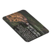 できない事をする マグネット (右側)