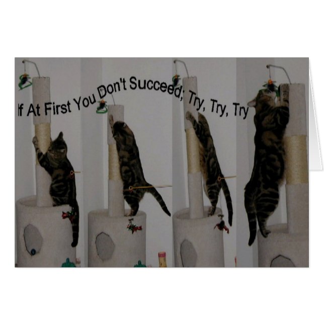 できるまで試みて下さい (正面横)