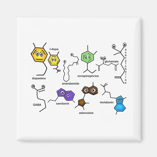 でこぼこの神経伝達物質 マグネット (正面)