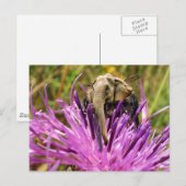 でこぼこ ポストカード (正面/裏面)