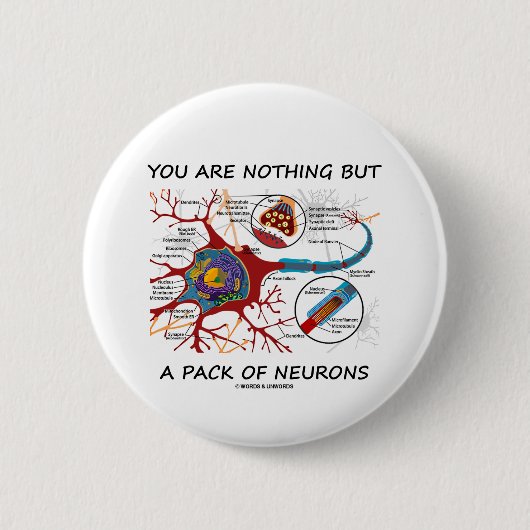 ですニューロン(シナプス) 1パック 缶バッジ (正面)