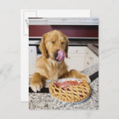 ~でのさくらんぼパイ食べの後に鼻をなめる犬 ポストカード (正面/裏面)
