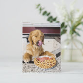 ~でのさくらんぼパイ食べの後に鼻をなめる犬 ポストカード (スタンド正面)