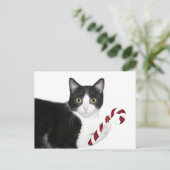 でも猫じゃらしが欲しかった! ポストカード (スタンド正面)