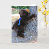 で考えきる カード (黄色い花)